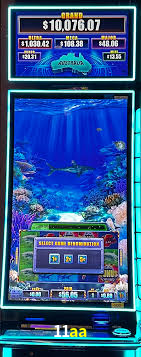 A Experiência Imersiva dos Cassinos Ao Vivo no 11aa